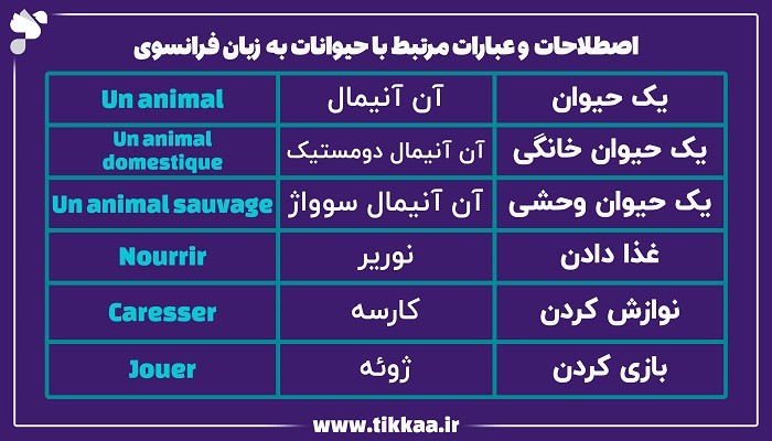 اصطلاحات حیوانات به زبان فرانسوی