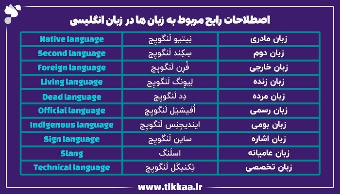 اصطلاحات رایج مربوط به زبان‌ ها در زبان انگلیسی