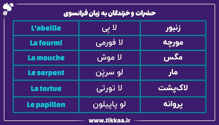 حشرات و خزندگان به زبان فرانسوی