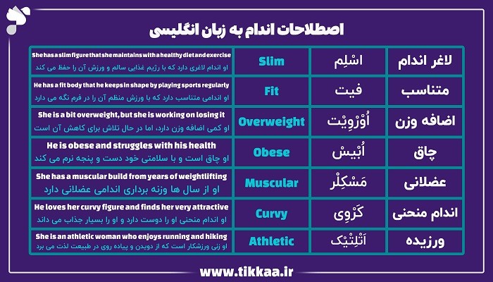 انواع اندام به زبان انگلیسی