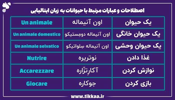 اصطلاحات حیوانات به زبان ایتالیایی