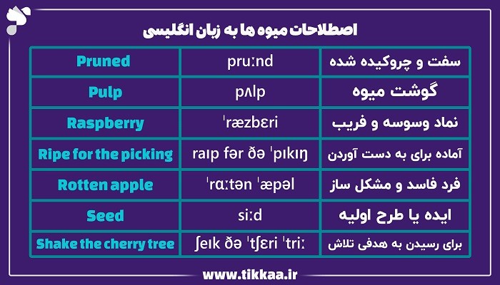 اصطلاحات مربوط به میوه ها به زبان انگلیسی