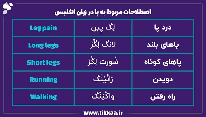 اصطلاحات مربوط به پا در زبان انگلیسی