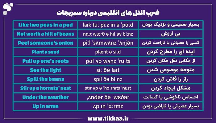 ضرب المثل های سبزیجات به انگلیسی 