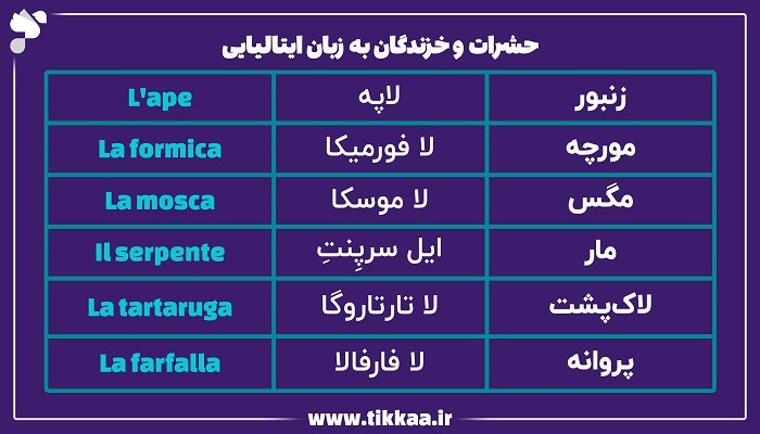 حشرات و خزندگان به زبان ایتالیایی