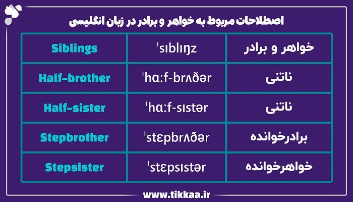 خواهر و برادر به زبان انگلیسی