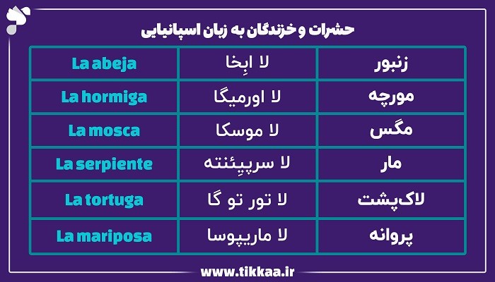 حشرات و خزندگان به زبان اسپانیایی