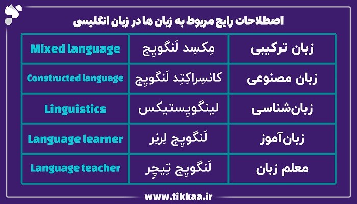 اصطلاحات رایج زبان‌ ها در انگلیسی