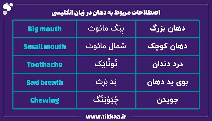 اصطلاحات مربوط به دهان در زبان انگلیسی