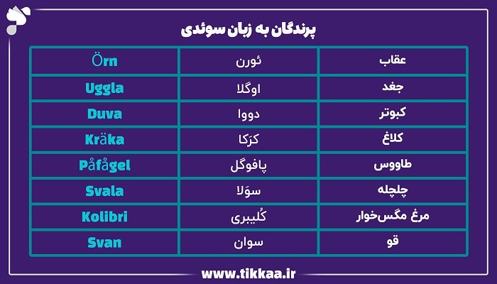 پرندگان به زبان سوئدی