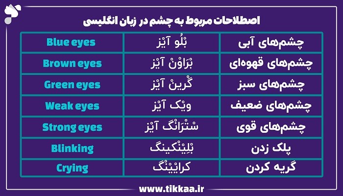 اصطلاحات مربوط به چشم در زبان انگلیسی