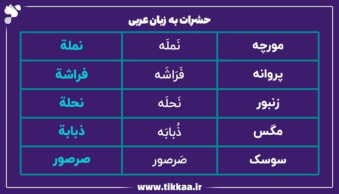 حشرات به زبان عربی