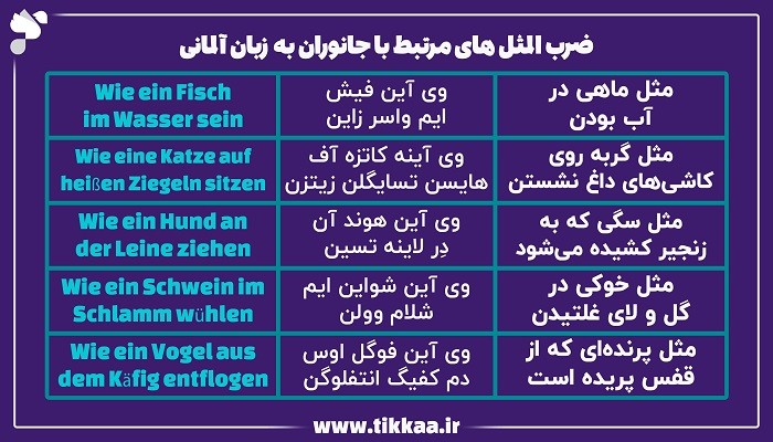 ضرب‌ المثل‌ های مرتبط با جانوران به زبان آلمانی