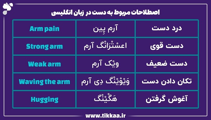 اصطلاحات مربوط به دست در زبان انگلیسی