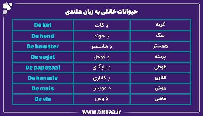 حیوانات خانگی به زبان هلندی