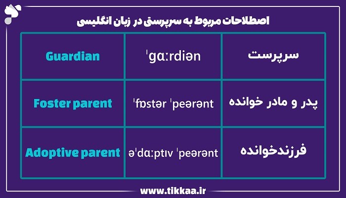 اصطلاحات مربوط به سرپرستی در زبان انگلیسی