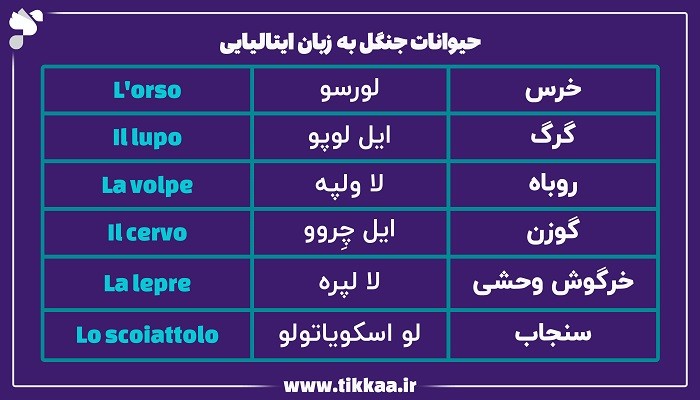 حیوانات جنگل به زبان ایتالیایی