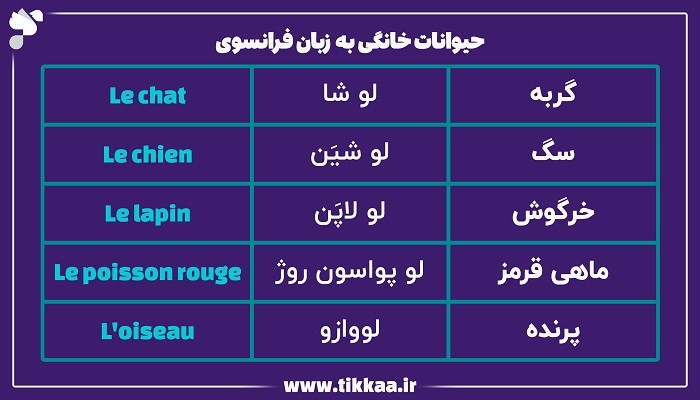 حیوانات خانگی به زبان فرانسوی