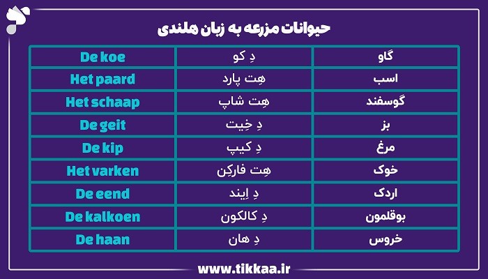 حیوانات مزرعه به زبان هلندی