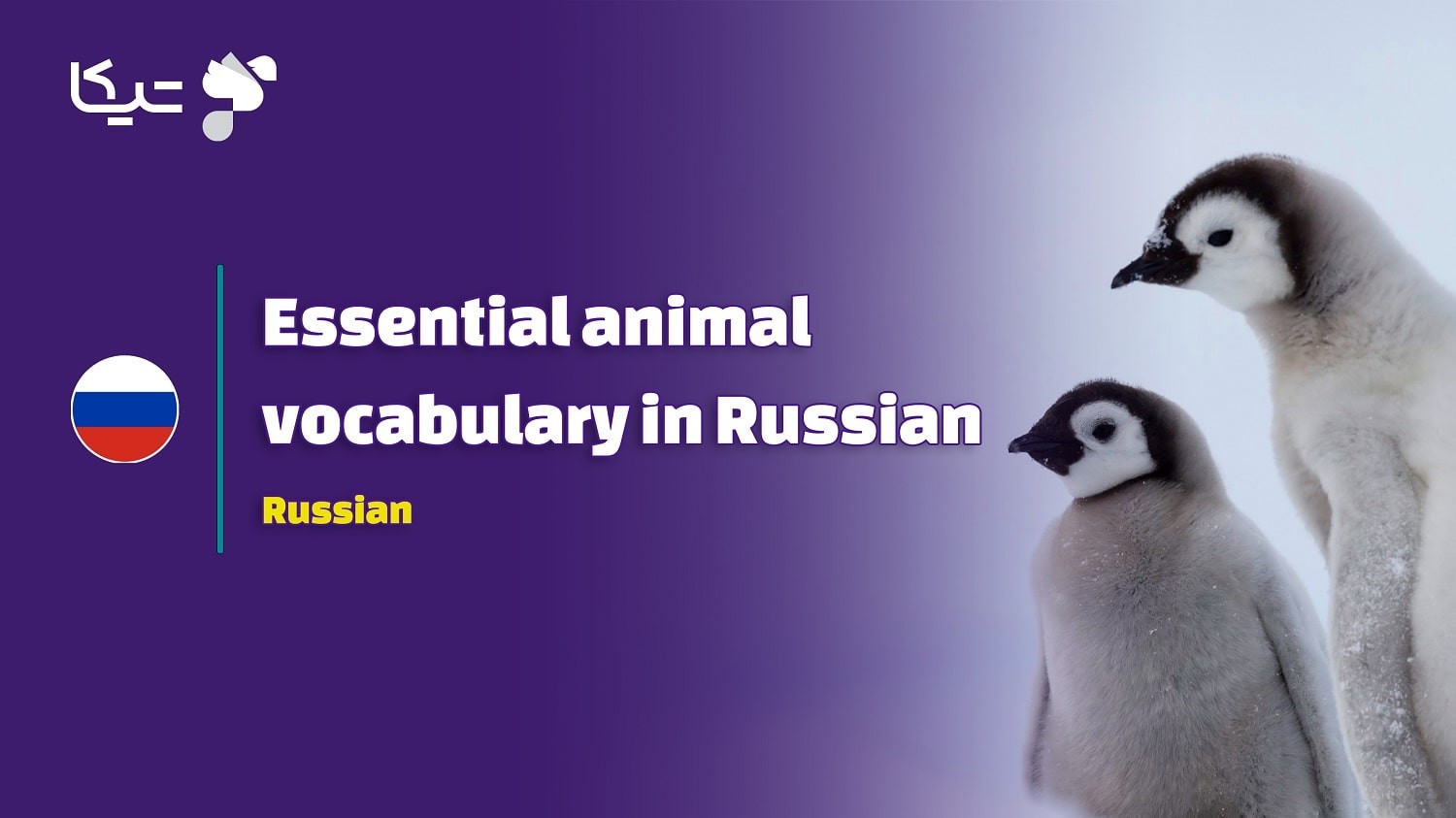 لغات و اصطلاحات مرتبط با حیوانات به زبان روسی با تلفظ فارسی