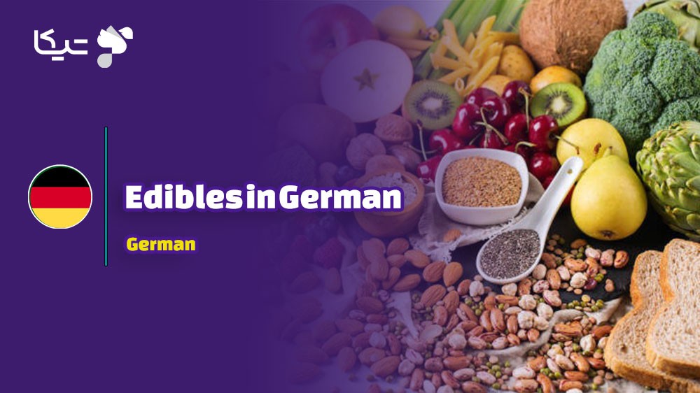 راهنمای جامع کلمات و اصطلاحات مربوط به خوراکیها به آلمانی با تلفظ فارسی