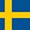 مدرس آنلاین زبان سوئدی در پلتفرم یادگیری مجازی تیکا